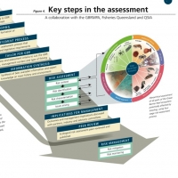 East Coast Utter Trawl Fish Fishery infographic, Great Barrier Reef Marine Park Authority