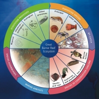 East Coast Utter Trawl Fish Fishery infographic, Great Barrier Reef Marine Park Authority