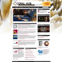 coralhub-website-07-2013